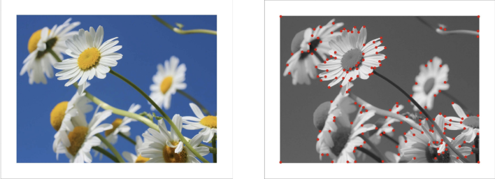 Feature points spread over the whole picture
